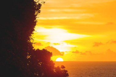 Günbatımı bulutlar farklı şekiller ve bitkilerin siluetleri ile. Bali, Endonezya, Hint Okyanusu.