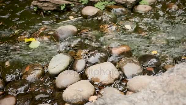 ストリームの水は、岩の上に実行されます。ワット サケット コールデン山。バンコク、タイ. — ストック動画