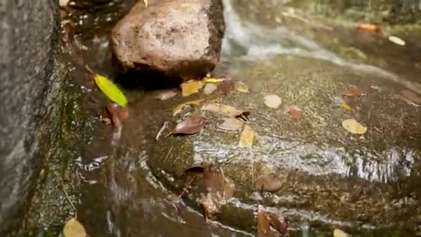 El agua de un arroyo corre sobre las rocas. Montaña Wat Saket Colden. Bangkok, Tailandia . — Vídeos de Stock