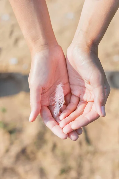 La mujer sostiene una pluma blanca de una gaviota en la mano. Símbolo de ligereza y fragilidad. Vista superior . — Foto de Stock