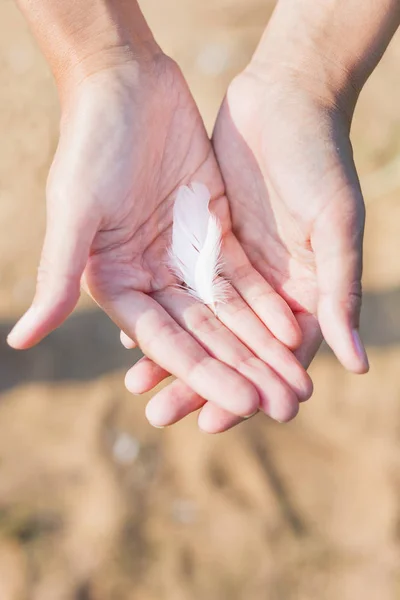 Frau hält eine weiße Feder einer Möwe in der Hand. Symbol für Leichtigkeit und Zerbrechlichkeit. Ansicht von oben. — Stockfoto