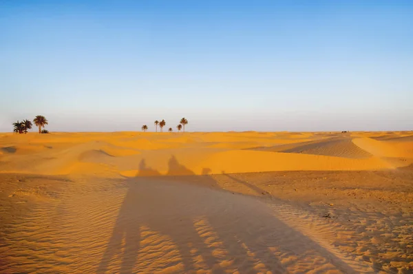Toeristen en bedoeïenen op kamelen voldoen aan zonsondergang in de Saharawoestijn. Mooi landschap met zandduinen en helderblauwe hemel. Tunesië. — Stockfoto
