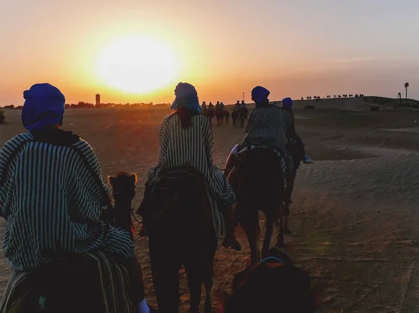 Turystów i Beduini na wielbłądach spełniają zachód słońca na pustyni Sahara. Tunezja. — Zdjęcie stockowe
