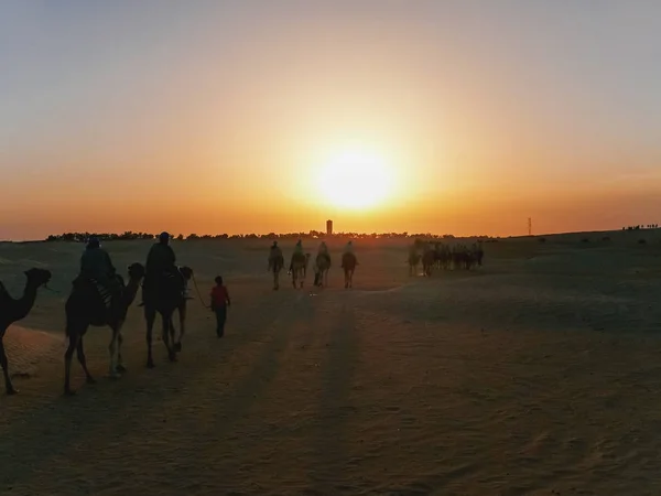 Turisté a beduíni na velbloudy setkávají západ slunce v poušti Sahara. Tunisko. — Stock fotografie