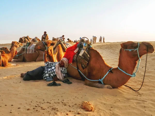 Sahara, Tunisien - 03 September, 2007. Turister och beduiner på kameler möta solnedgången i Saharaöknen. — Stockfoto