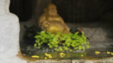 Su akışı ile küçük gölet altın Buddha heykeli. Altın Dağı Wat Saket Bangkok Tayland.