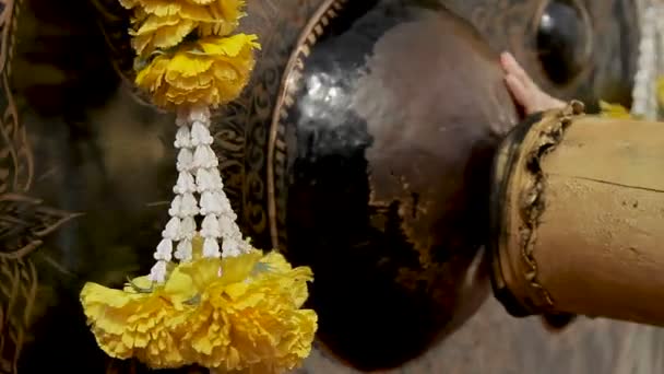 Turisté porazit sakrální gong v Wat Saket Ratcha Wora Maha Wihanovo, Zlaté hory . — Stock video