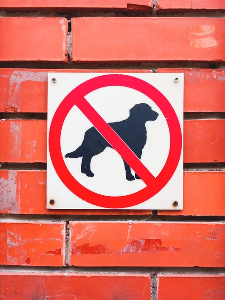 Cartel en la pared de ladrillo rojo - "No se permiten perros". Prohibición de paseos con animales de compañía . — Foto de Stock