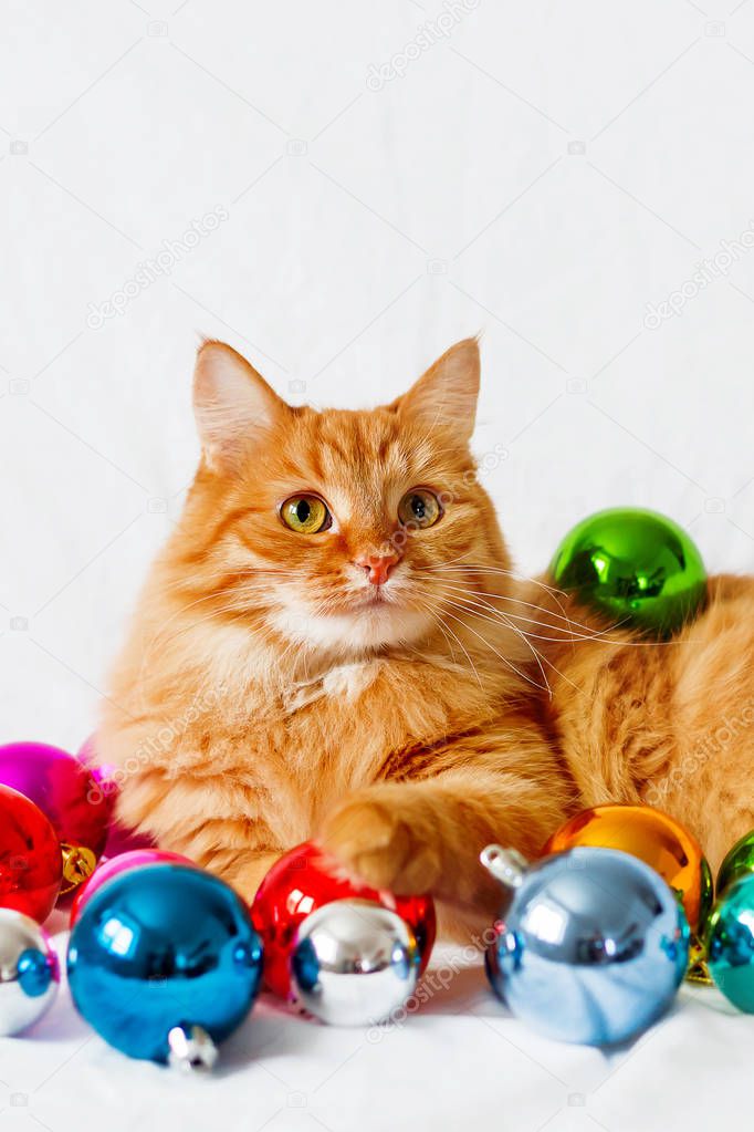 Ginger cat lies on bed among christmas decorations - bright colorful balls. 