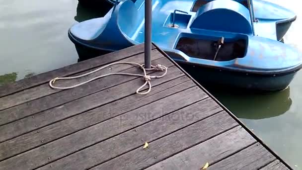 Row of blue catamarans tied at the dock. Lumpini park, Bangkok, Thailand. — Stock Video
