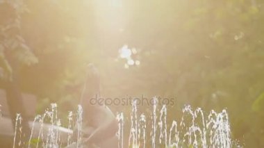 Deniz Aslan heykeli, Çeşme Parkı bir parçası. Güzel gün batımı, Bangkok, Tayland.