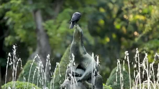 Black raven sitting on sea lion sculpture, part of fountain in park. Bangkok, Thailand. — Stock Video