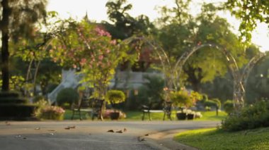 Süs Bitkileri ve bahçedeki ağaçlar. Palm ağaçlar, çiçekler ve dekoratif banklar. Bangkok, Tayland