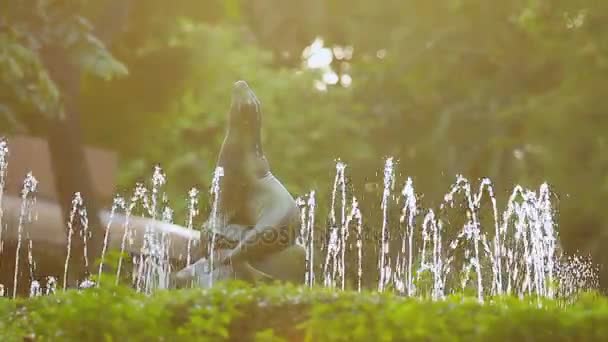 海狮雕塑, 公园喷泉的一部分。美丽的日落, 曼谷, 泰国. — 图库视频影像