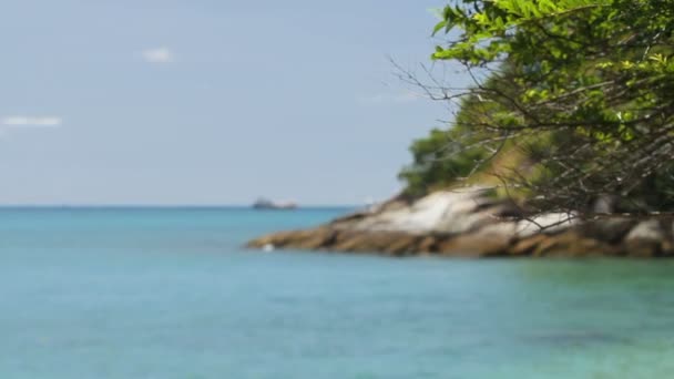 Mannen vissen op de oever. Vissersboot zwaaien op de golven. Focus op boomtakken op de voorgrond. Phuket, Thailand. — Stockvideo