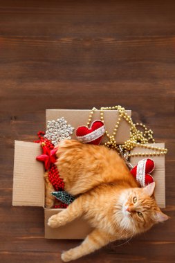 Şirin zencefil kedi kutusu ahşap arka plan üzerinde Noel ve yeni yıl süslemeleri ile yatıyor. Kabarık pet orada uyumak için yapıyor. Metin için yer.