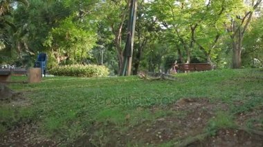 Jaws bir kaplumbağa ile çimenlerin üzerinde tarama monitör kertenkele. Lumpini park Bangkok, Tayland.