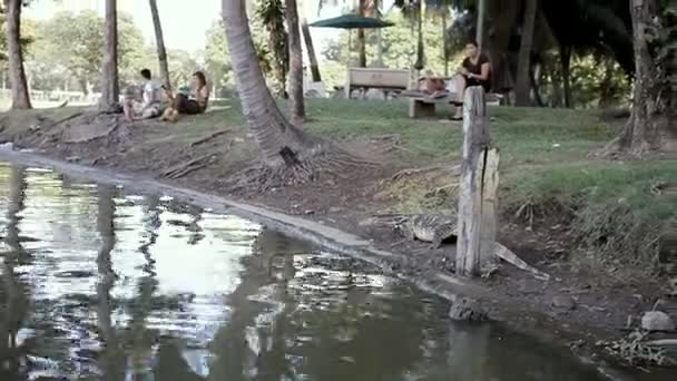 BANGKOK, TAILANDIA - 24 de octubre de 2012. Monitorear lagarto arrastrándose en la orilla del estanque en el parque Lumpini. Gente caminando y haciendo picnic al aire libre . — Vídeo de stock