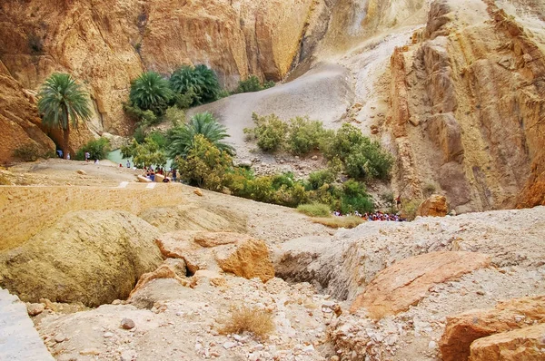Tourists stand in line among the rocks of oasis Chebika, famous landmark in Sahara desert. Tunisia.