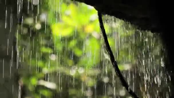 Kleiner Wasserfall. Wasser fließt über die Felsen, umgeben von Pflanzen. wat saket goldene Halterung. bangkok, thailand. — Stockvideo