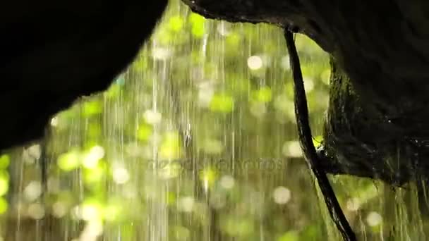 Pequeña cascada. Agua que fluye sobre las rocas, rodeada de plantas. Wat Saket Montaje dorado. Bangkok, Tailandia . — Vídeos de Stock