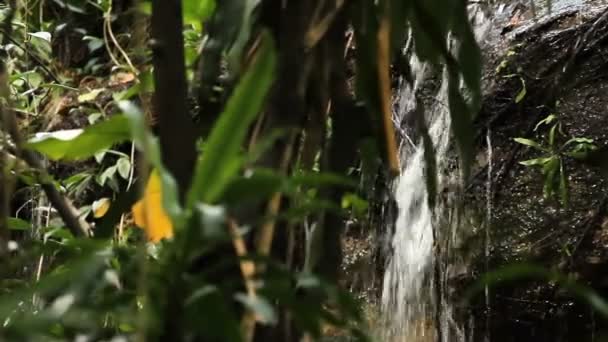 Små vattenfall. Vatten som rinner över klipporna, omgiven av växter. Wat Saket Golden mount. Bangkok, Thailand. — Stockvideo