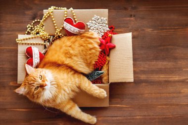 Zencefil kedi kutusu ahşap arka plan üzerinde Noel ve yeni yıl süslemeleri ile yatıyor. Kabarık pet orada uyumak için ne yapıyor. 