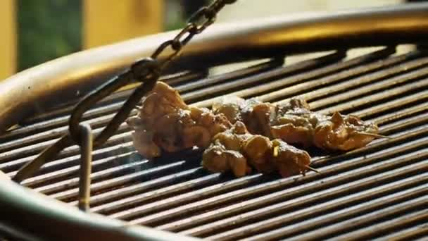 Chicken shashlik frito en la parrilla al aire libre. Sabrosa barbacoa de carne en la feria de Navidad en la Plaza Roja. Moscú, Rusia . — Vídeos de Stock