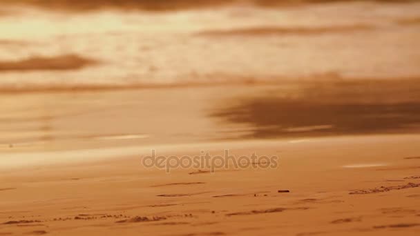 Niño caminando en el mar surf. Niños pies en el agua. Surf marino eliminando todas las huellas. Reflejo naranja al atardecer en olas marinas. Phuket, Tailandia . — Vídeo de stock