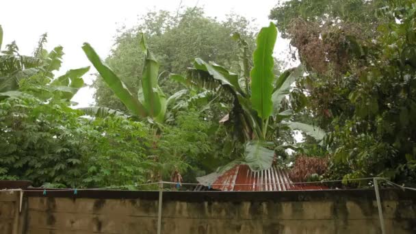 Cuerda con pinzas de ropa bajo fuertes lluvias. Isla de Phuket, Tailandia . — Vídeos de Stock