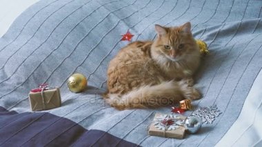 Yeni yıl ile yatakta yalan şirin zencefil kedi Kraft kağıt içinde sunar. Rahat ev Noel tatil arka plan.