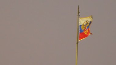 Kremlin Senato bir kubbe üzerine Rus bayrağı sallayarak. Moscow, Rusya Federasyonu.