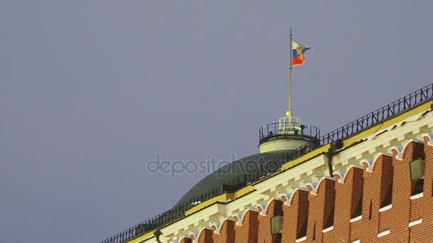 Wuivende Russische vlag op de top van koepel van de Senaat van het Kremlin. Moskou, Rusland. — Stockvideo
