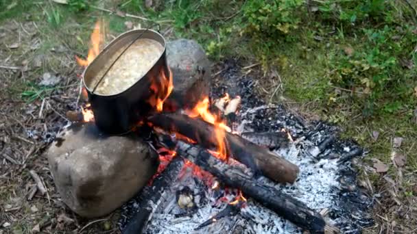 Vaření polévky na hrnec požáru. Letní táboření v lese. — Stock video