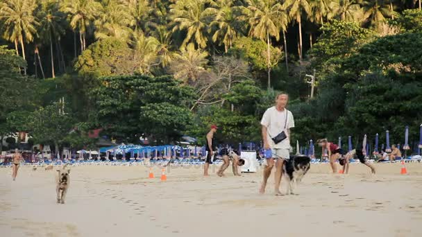 PHUKET, THAILAND - 12 de novembro de 2012. Mulher caminhando com cães na praia de Nai Harn, ilha Phuket. Pessoas fazendo exercícios em fundo turvo. Tailândia . — Vídeo de Stock