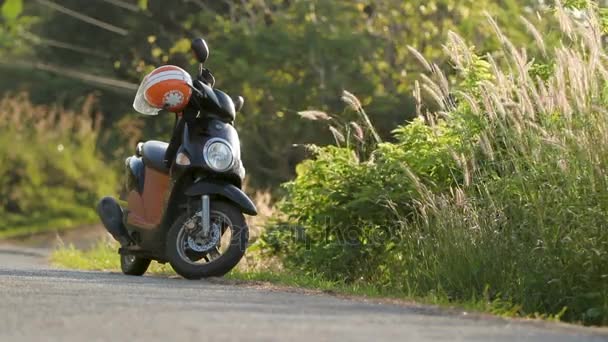 PHUKET, TAILANDIA - 18 de noviembre de 2012. Moto estacionado en la carretera cerca de los arbustos. Luz del atardecer a través de hierba verde . — Vídeos de Stock