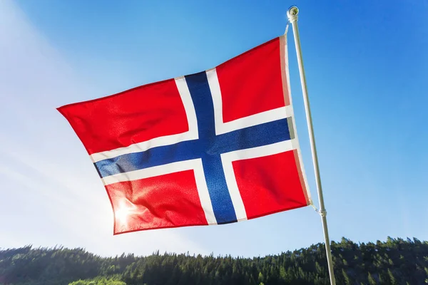 Bandeira Noruega Acenando Vento Contra Paisagem Floresta Verão Dia Ensolarado — Fotografia de Stock