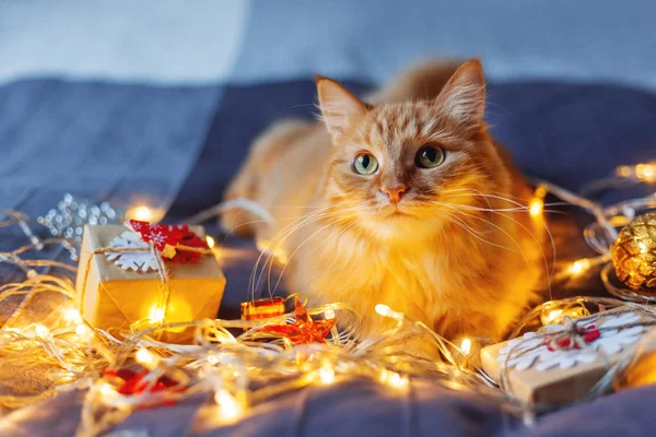 빛나는 전구 및 새 해와 함께 침대에 누워 귀여운 생강 고양이 공예 종이에서 선물 한다. 아늑한 홈 크리스마스 휴일 배경. — 스톡 사진