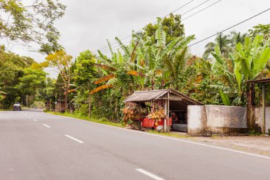 Bali, Endonezya - 30 Ocak 2013. Sokak meyve Dükkanı. Durians ile küçük açık mağaza.