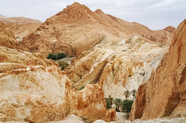 Rochas de oásis Chebika, famoso marco no deserto do Saara. Tunísia . — Fotografia de Stock