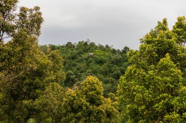 Tepeler köyün görüntüleyin. Kış sezon yağmurlu ve bulutlu. Bali, Endonezya.