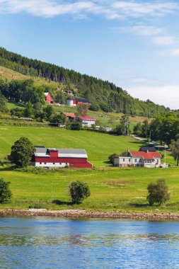 Typical scandinavian landscape with meadows and village. Houses with red walls and roofs. Norway. clipart