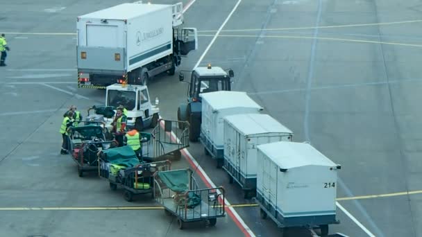 MOSCOW, RUSSIA - October 17, 2012. Technical staff driving special cargo vehicles on take-off field at Domodedovo airport. — Stock Video