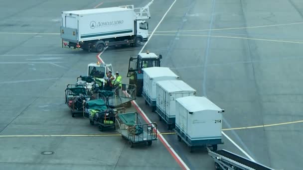 MOSCA, RUSSIA - 17 ottobre 2012. Personale tecnico che guida veicoli da carico speciali sul campo di decollo dell'aeroporto di Domodedovo . — Video Stock