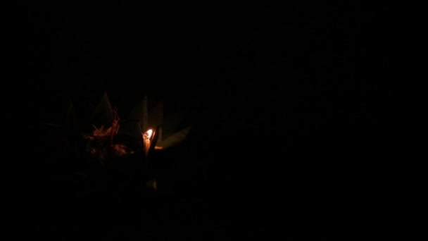 Les habitants et les touristes célèbrent la Loi Krathong. Les gens sont descendus dans les couronnes d'eau avec des bougies et ont laissé aller au paradis lanternes en papier chinois. Phuket, Thaïlande . — Video