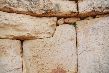 Mnajdra Tapınağı Hagar Qim megalitik kompleks içinde. Qrendi, Malta. UNESCO Dünya Miras Listesi.