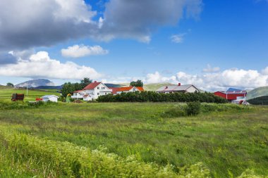 Çayırlar, dağlar ve köy ile tipik İskandinav manzara. Lofoten Adaları, Norveç.