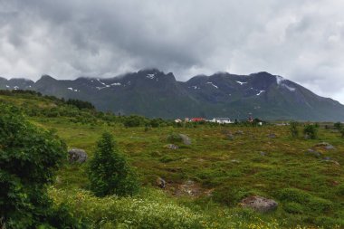 Çayırlar, dağlar ve köy ile tipik İskandinav manzara. Lofoten Adaları, Norveç.