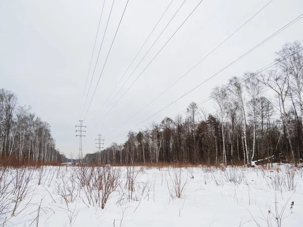 Kraftledning torn i Lossiny Ostrov National Park. Elk Moose ön i Moskva. Vinter eller tidig vår landskap. — Stockfoto
