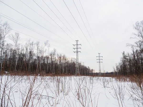 Kraftledning torn i Lossiny Ostrov National Park. Elk Moose ön i Moskva. Vinter eller tidig vår landskap. — Stockfoto